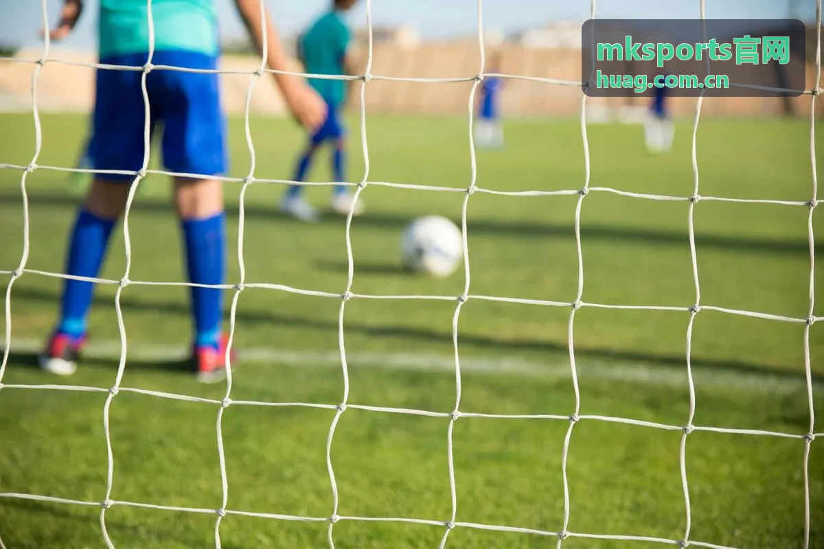 mksports官网赛事数据服务赛程与积分榜数据展示